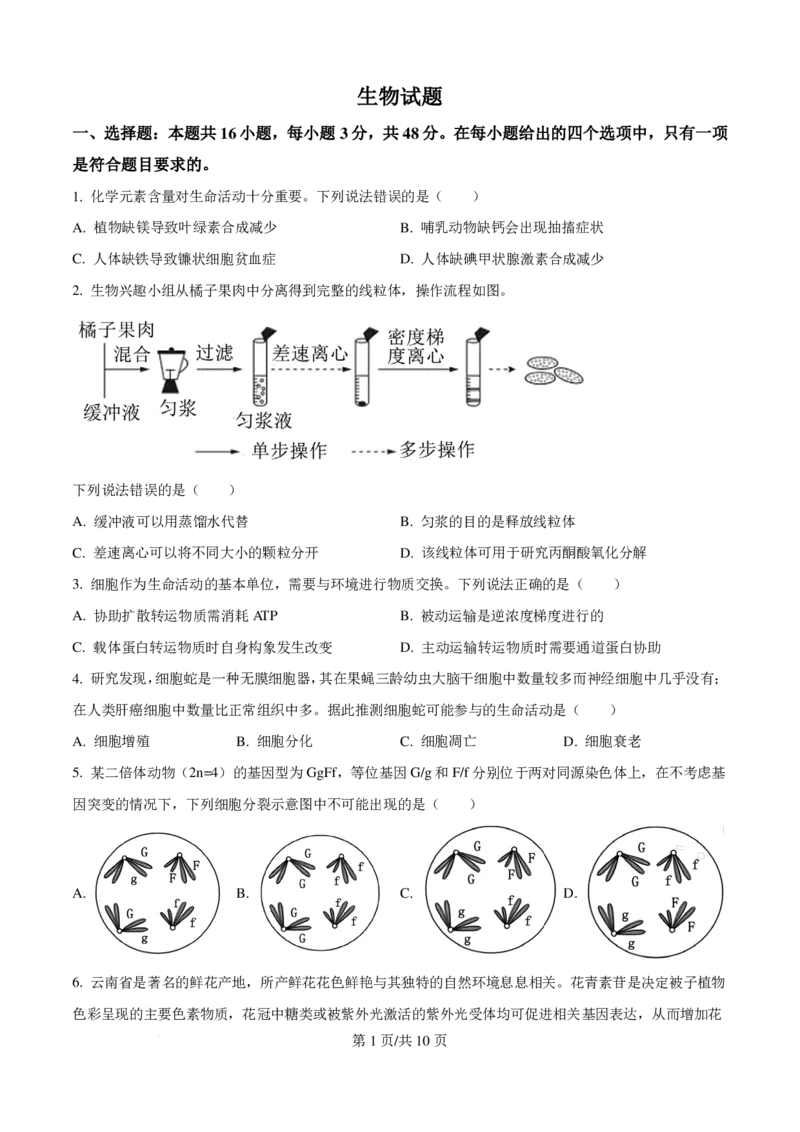 2025高考云南卷生物真题_1.高考2025全国各省真题+答案_00.2025各省市高考真题及答案（按省份分类）_18、云南卷（9科全）_生物