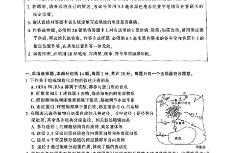 江苏省南通市2024届高三第一次调研测试生物试题_2024届江苏省南通市高三第一次调研测试（南通一模）_江苏省南通市2024届高三第一次调研测试（南通一模）生物