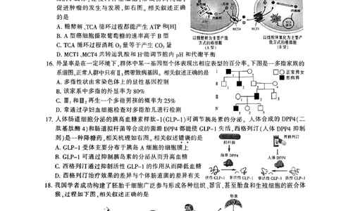 江苏省南通市2024届高三第一次调研测试生物试题_2024届江苏省南通市高三第一次调研测试（南通一模）_江苏省南通市2024届高三第一次调研测试（南通一模）生物