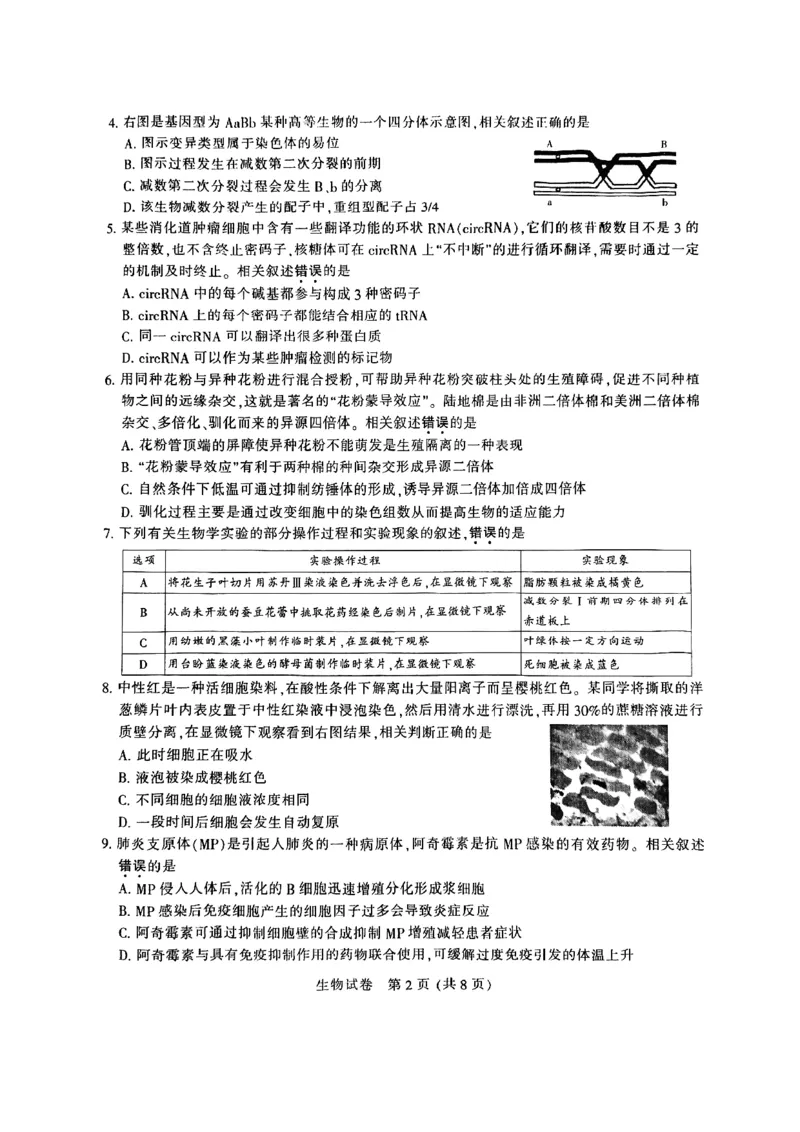 江苏省南通市2024届高三第一次调研测试生物试题_2024届江苏省南通市高三第一次调研测试（南通一模）_江苏省南通市2024届高三第一次调研测试（南通一模）生物