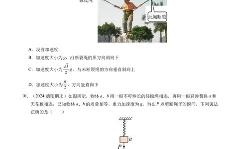 专题13连接体问题与瞬时性问题（新高考通用）（原卷版）_1多考区联考试卷_0108好题汇编备战2024-2025学年高一物理上学期期末真题分类汇编（新高考通用）