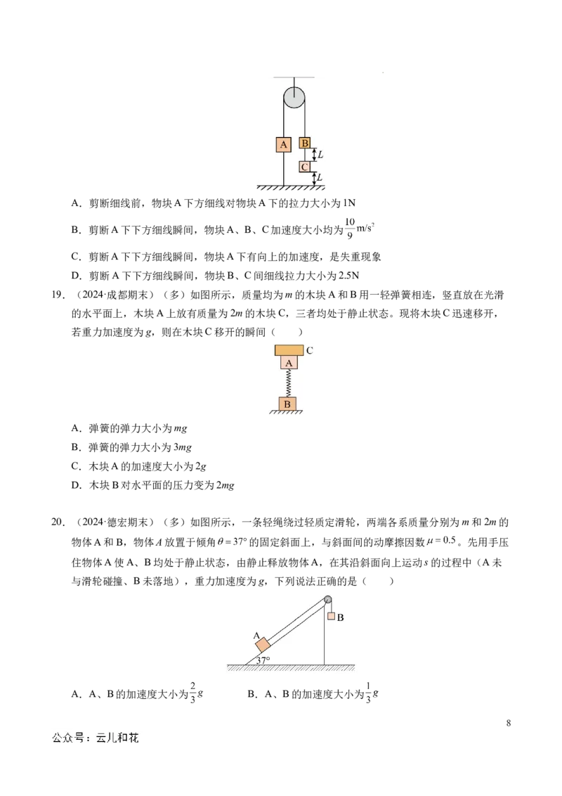 专题13连接体问题与瞬时性问题（新高考通用）（原卷版）_1多考区联考试卷_0108好题汇编备战2024-2025学年高一物理上学期期末真题分类汇编（新高考通用）