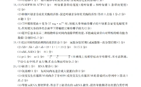 甘肃省2026届高三上学期12月阶段性考试（26-158C）生物答案_2025年12月_251231金太阳&middot;甘肃省2026届高三上学期12月阶段性考试（26-158C）（全科）