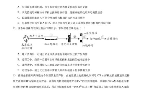 生物（广西卷）（考试版）_学易金卷丨2024年1月&ldquo;七省联考&rdquo;考前猜想卷_生物（广西卷）_生物（广西卷）-2024年1月&ldquo;七省联考&rdquo;考前生物猜想卷