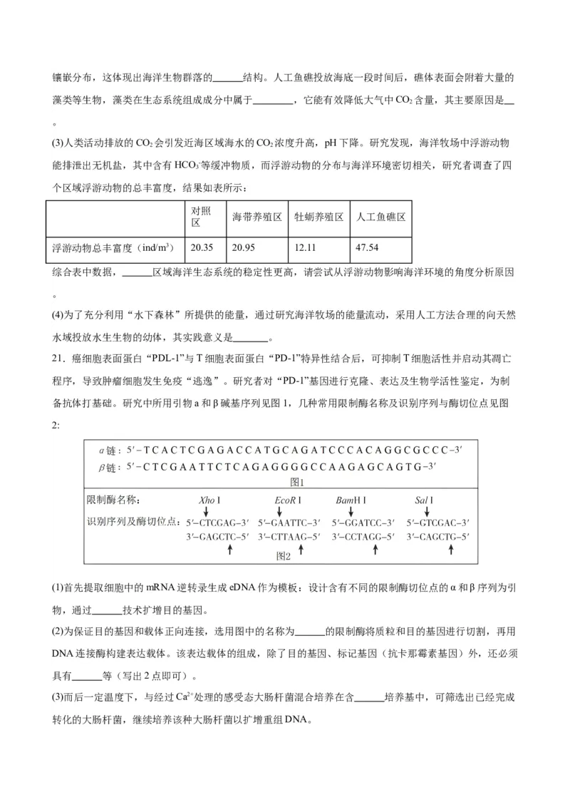 生物（广西卷）（考试版）_学易金卷丨2024年1月&ldquo;七省联考&rdquo;考前猜想卷_生物（广西卷）_生物（广西卷）-2024年1月&ldquo;七省联考&rdquo;考前生物猜想卷