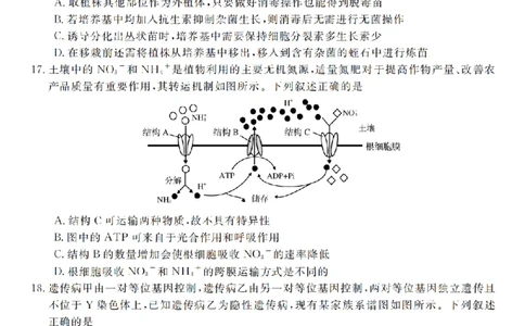 生物卷-2512强基联盟_2025年12月_251204浙江省强基联盟2025年12月高三联考（全科）_浙江省强基联盟2025-2026学年高三上学期12月联考生物试题（含答案）