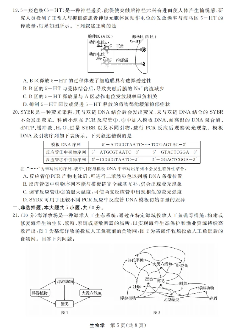 生物卷-2512强基联盟_2025年12月_251204浙江省强基联盟2025年12月高三联考（全科）_浙江省强基联盟2025-2026学年高三上学期12月联考生物试题（含答案）