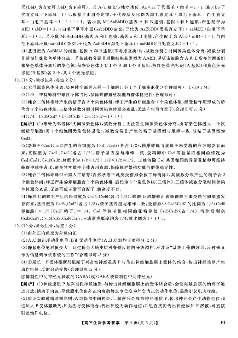 福建省百校2025年2026届高三年级12月联合测评生物试题（含答案）_2025年12月_251227福建省百校2025年2026届高三年级12月联合测评(下标FJ)