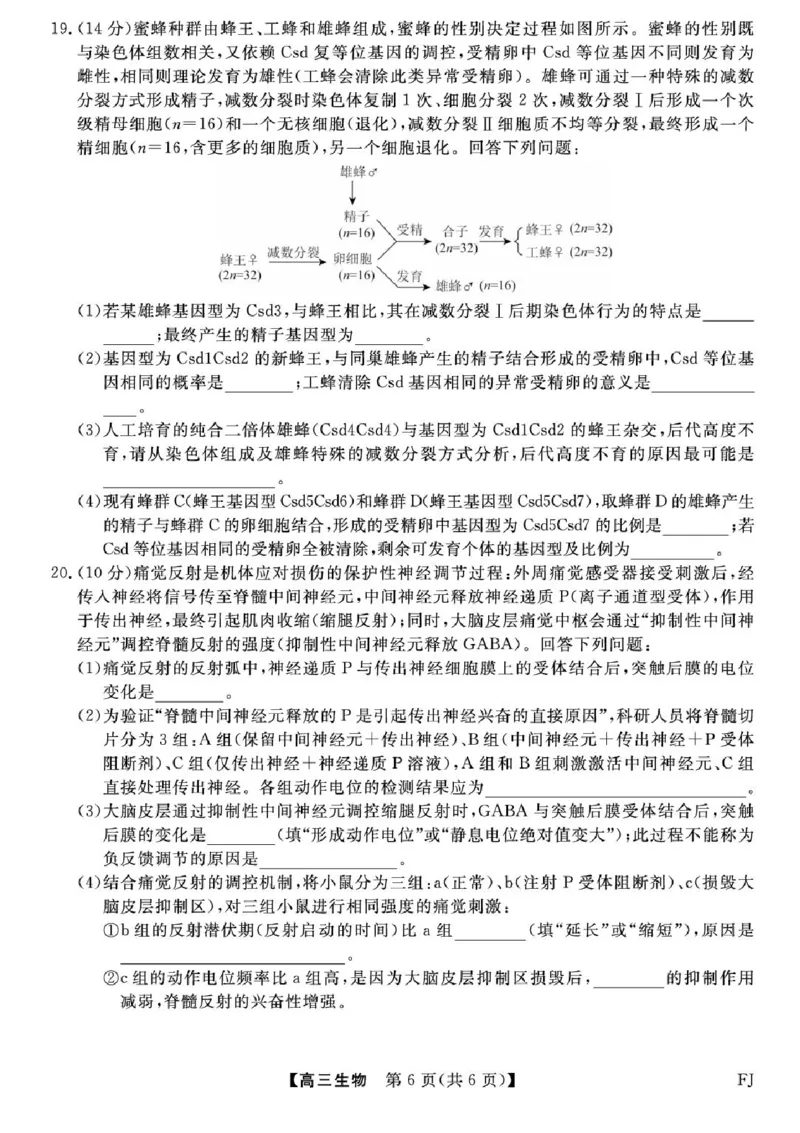 福建省百校2025年2026届高三年级12月联合测评生物试题（含答案）_2025年12月_251227福建省百校2025年2026届高三年级12月联合测评(下标FJ)