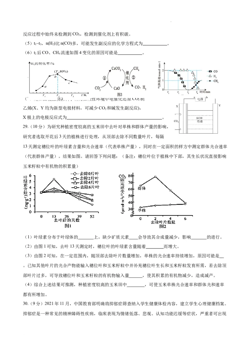 期末理科综合试题_2024届四川省成都市石室中学高三上学期期末考试_四川省成都市石室中学2024届高三上学期期末考试理综