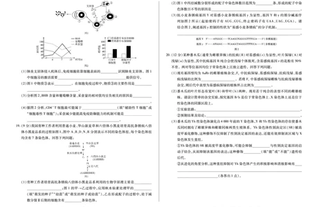 生物学A卷安徽高三12月考_2025年12月_251222安徽省天一大联考2025-2026学年高三上学期12月联考（全科）