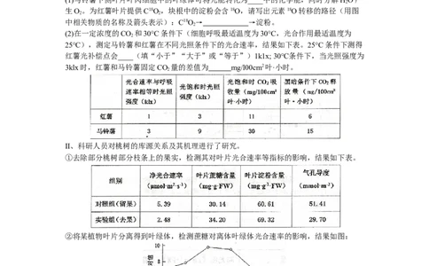 天津市和平区2024届高三上学期期末质量调查试题生物_2024届天津市和平区高三上学期期末质量调查试题