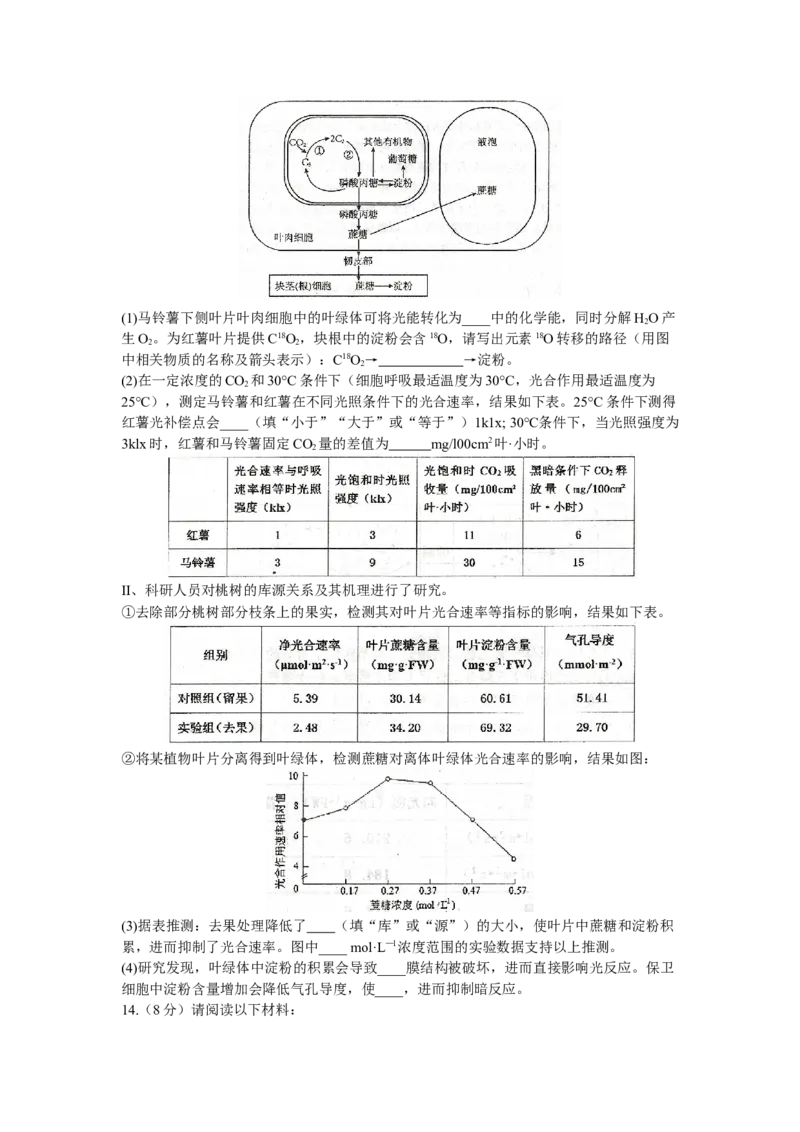 天津市和平区2024届高三上学期期末质量调查试题生物_2024届天津市和平区高三上学期期末质量调查试题