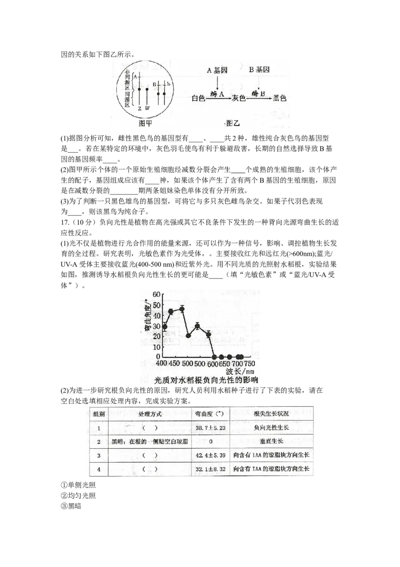 天津市和平区2024届高三上学期期末质量调查试题生物_2024届天津市和平区高三上学期期末质量调查试题