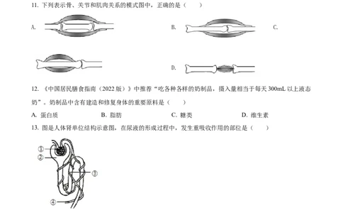 精品解析：2022年湖南省怀化市中考生物真题（原卷版）_中考真题_8.生物中考真题2015-2024年_2022年全国中考生物114份14