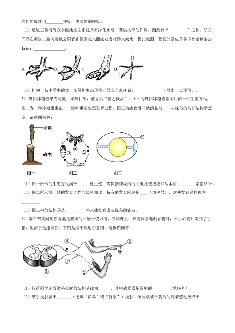 精品解析：2022年湖南省怀化市中考生物真题（原卷版）_中考真题_8.生物中考真题2015-2024年_2022年全国中考生物114份14