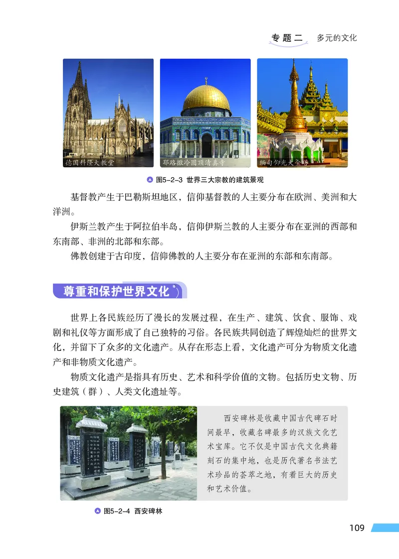 科普版7年级地理上册高清教材_4-教培资料-26年最新资料-同步更新_初中高中教资_03科三专项（进去保存报考的学科即可）_02科三专项（笔记真题思维导图教学设计版本二）