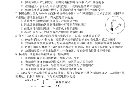 龙东高三生物学12月模拟试卷成稿_2025年12月_251211黑龙江省龙东十校联盟2026届高三上学期12月月考（全科）_黑龙江省龙东十校联盟2025-2026学年高三上学期12月月考生物试题（含答案）