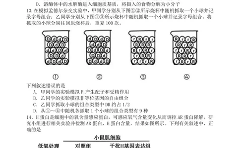 龙东高三生物学12月模拟试卷成稿_2025年12月_251211黑龙江省龙东十校联盟2026届高三上学期12月月考（全科）_黑龙江省龙东十校联盟2025-2026学年高三上学期12月月考生物试题（含答案）