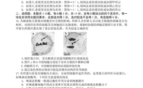 龙东高三生物学12月模拟试卷成稿_2025年12月_251211黑龙江省龙东十校联盟2026届高三上学期12月月考（全科）_黑龙江省龙东十校联盟2025-2026学年高三上学期12月月考生物试题（含答案）