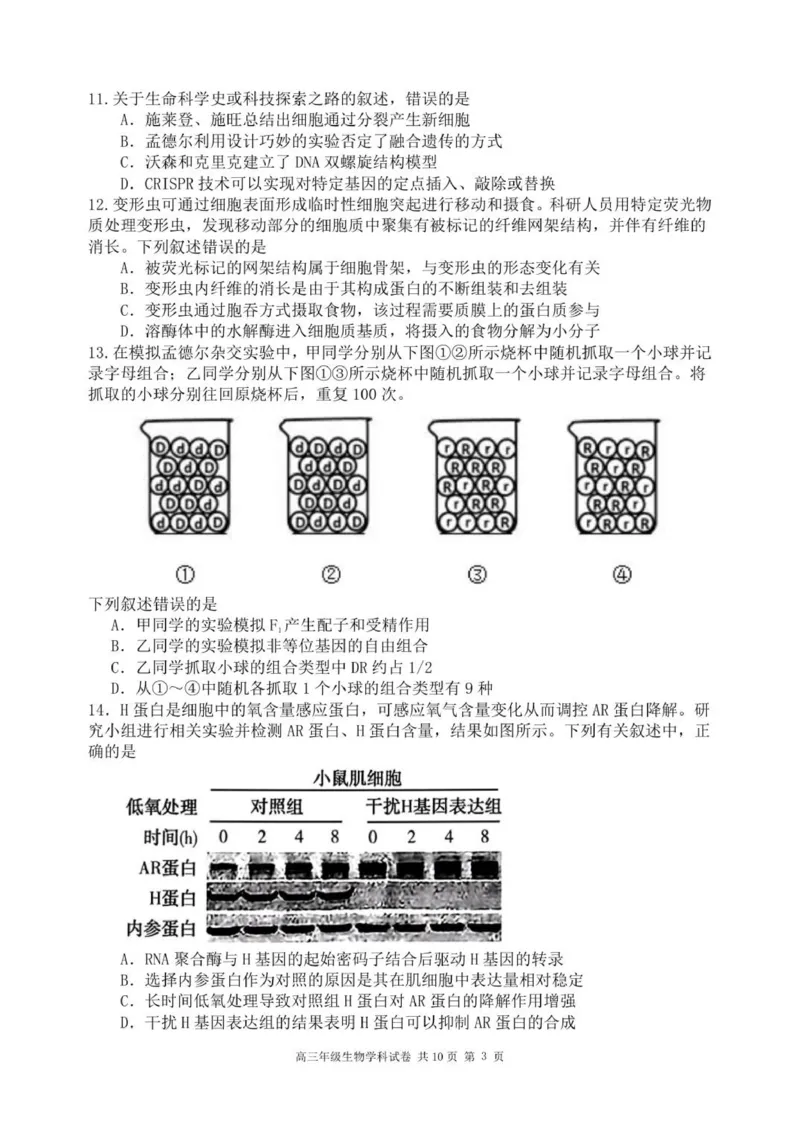龙东高三生物学12月模拟试卷成稿_2025年12月_251211黑龙江省龙东十校联盟2026届高三上学期12月月考（全科）_黑龙江省龙东十校联盟2025-2026学年高三上学期12月月考生物试题（含答案）