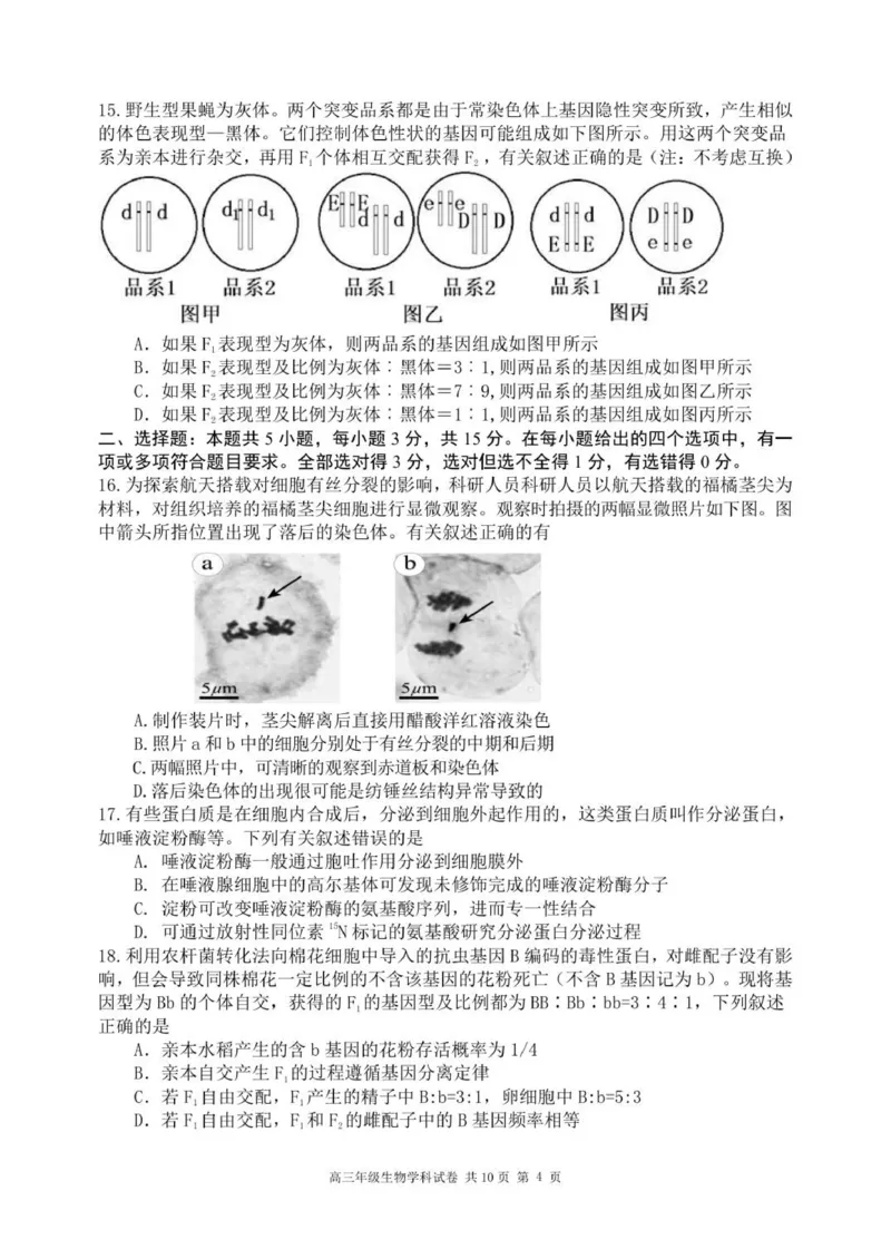 龙东高三生物学12月模拟试卷成稿_2025年12月_251211黑龙江省龙东十校联盟2026届高三上学期12月月考（全科）_黑龙江省龙东十校联盟2025-2026学年高三上学期12月月考生物试题（含答案）