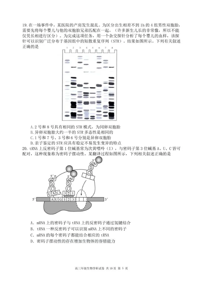 龙东高三生物学12月模拟试卷成稿_2025年12月_251211黑龙江省龙东十校联盟2026届高三上学期12月月考（全科）_黑龙江省龙东十校联盟2025-2026学年高三上学期12月月考生物试题（含答案）