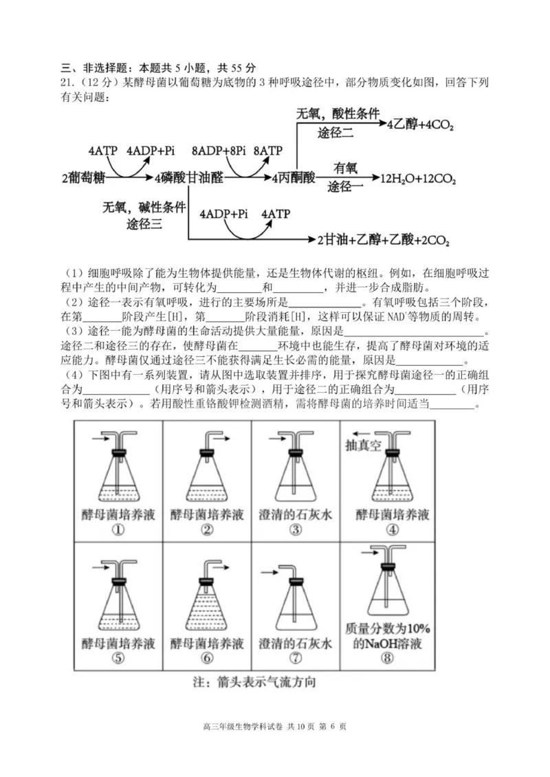 龙东高三生物学12月模拟试卷成稿_2025年12月_251211黑龙江省龙东十校联盟2026届高三上学期12月月考（全科）_黑龙江省龙东十校联盟2025-2026学年高三上学期12月月考生物试题（含答案）