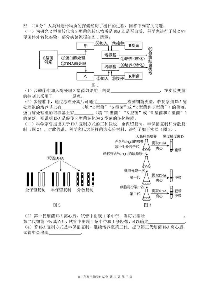 龙东高三生物学12月模拟试卷成稿_2025年12月_251211黑龙江省龙东十校联盟2026届高三上学期12月月考（全科）_黑龙江省龙东十校联盟2025-2026学年高三上学期12月月考生物试题（含答案）