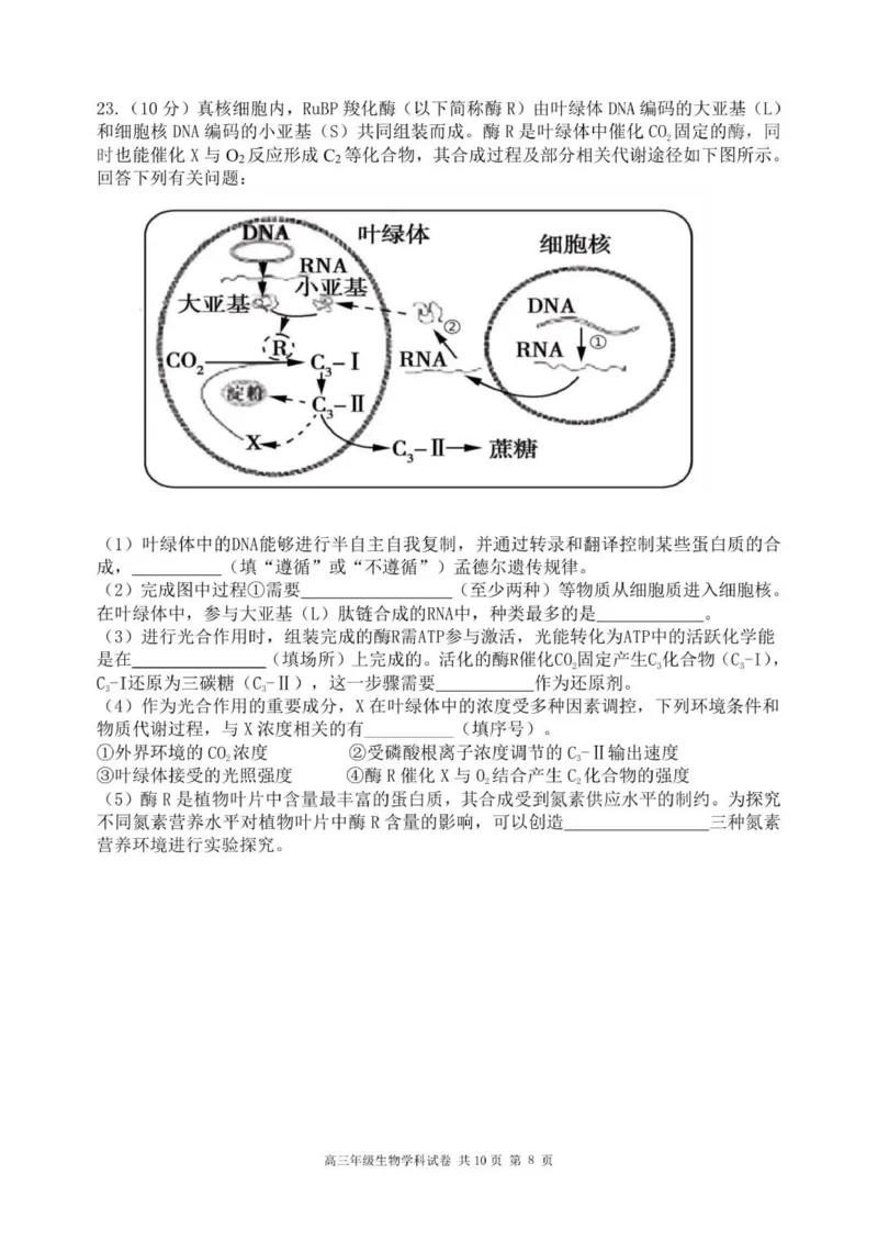 龙东高三生物学12月模拟试卷成稿_2025年12月_251211黑龙江省龙东十校联盟2026届高三上学期12月月考（全科）_黑龙江省龙东十校联盟2025-2026学年高三上学期12月月考生物试题（含答案）