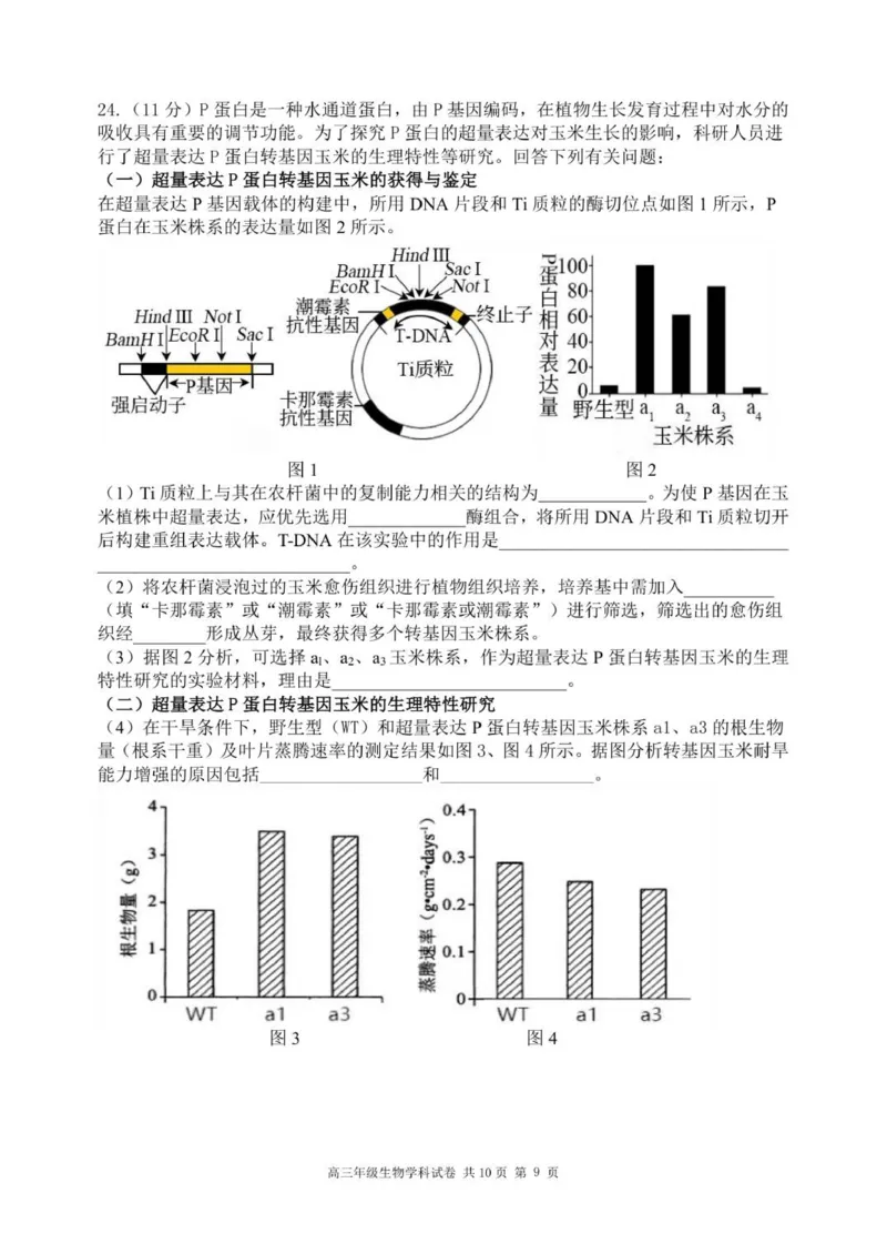 龙东高三生物学12月模拟试卷成稿_2025年12月_251211黑龙江省龙东十校联盟2026届高三上学期12月月考（全科）_黑龙江省龙东十校联盟2025-2026学年高三上学期12月月考生物试题（含答案）