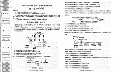 陕西省西安市新城区2024-2025学年高二下学期7月期末生物试题（含答案）_2025年7月_250706陕西省西安市新城区2024-2025学年高二下学期7月期末质量检测（全科）