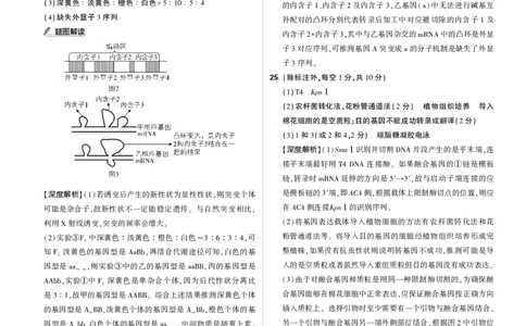 答案2025年理想树东北三省精准教学联盟高三强化卷5月生物学_2025年6月_250601理想树&middot;东北三省精准教学2025年5月高三联考-强化卷（全科）