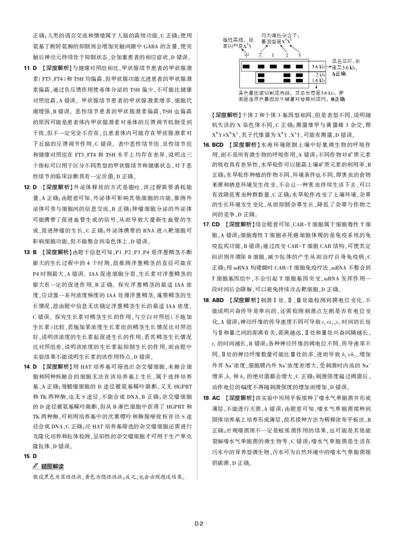 答案2025年理想树东北三省精准教学联盟高三强化卷5月生物学_2025年6月_250601理想树&middot;东北三省精准教学2025年5月高三联考-强化卷（全科）