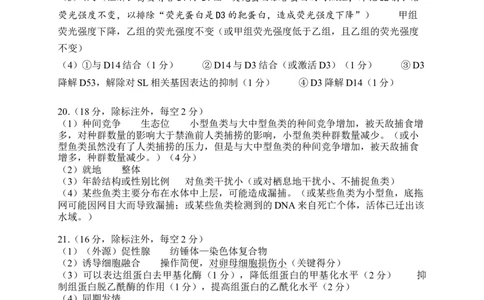 高二生物参考答案_2025年7月_250715湖北省黄石市2025春季学期高二期末统一测试（全科）_生物