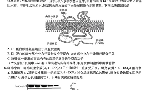 生物试卷-重庆市南开中学高2026届高三第四次质量检测_2025年12月_251206重庆市南开中学高2026届高三第四次质量检测（全科）_重庆市南开中学高2026届高三第四次质量检测生物