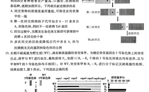 生物试卷-重庆市南开中学高2026届高三第四次质量检测_2025年12月_251206重庆市南开中学高2026届高三第四次质量检测（全科）_重庆市南开中学高2026届高三第四次质量检测生物