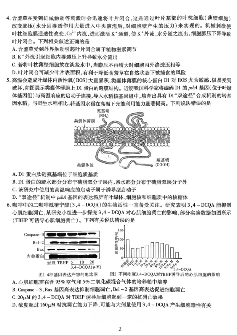 生物试卷-重庆市南开中学高2026届高三第四次质量检测_2025年12月_251206重庆市南开中学高2026届高三第四次质量检测（全科）_重庆市南开中学高2026届高三第四次质量检测生物