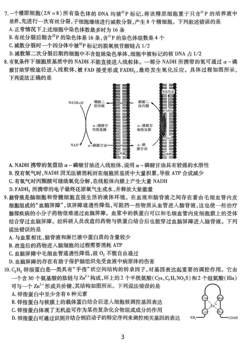 生物试卷-重庆市南开中学高2026届高三第四次质量检测_2025年12月_251206重庆市南开中学高2026届高三第四次质量检测（全科）_重庆市南开中学高2026届高三第四次质量检测生物