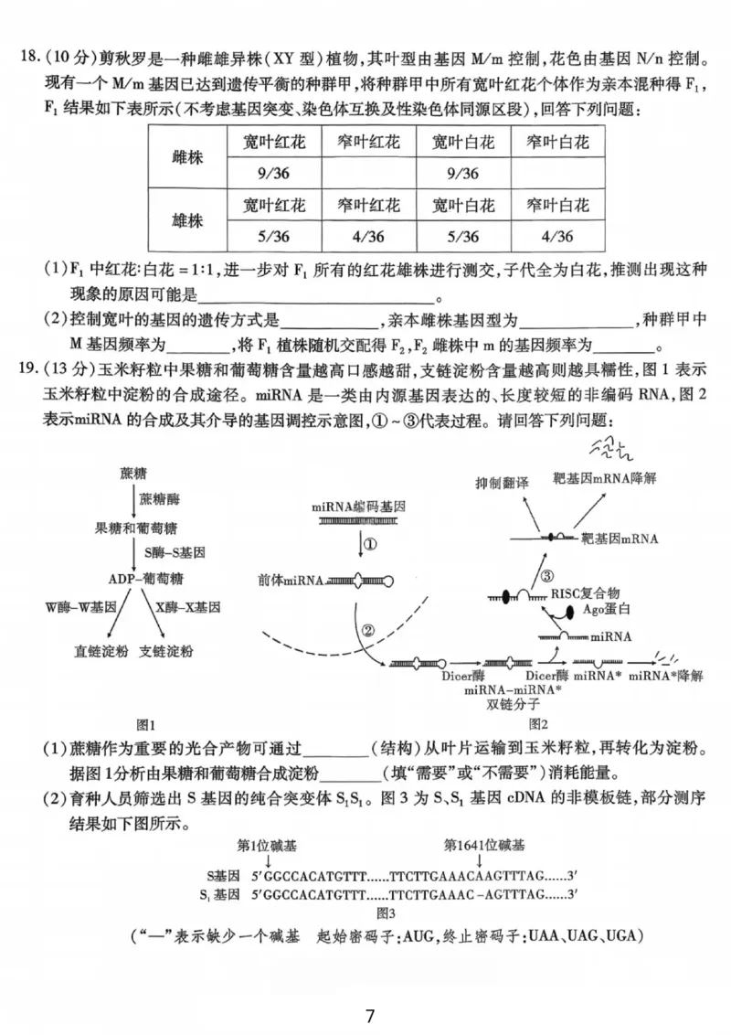 生物试卷-重庆市南开中学高2026届高三第四次质量检测_2025年12月_251206重庆市南开中学高2026届高三第四次质量检测（全科）_重庆市南开中学高2026届高三第四次质量检测生物