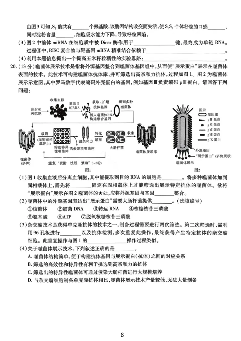 生物试卷-重庆市南开中学高2026届高三第四次质量检测_2025年12月_251206重庆市南开中学高2026届高三第四次质量检测（全科）_重庆市南开中学高2026届高三第四次质量检测生物