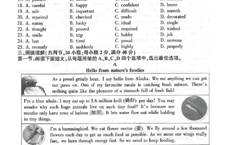 2025连云港中考英语真题及答案_2025全国各地《中考真题试卷及答案》_2025连云港中考真题及答案