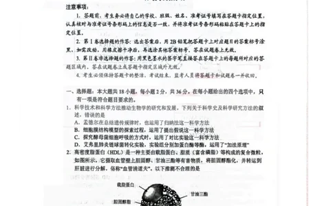 湖北省武汉市武昌区2023-2024学年高三上学期期末质量检测生物试题_2024届湖北省武汉市武昌区高三上学期期末质量检测试题_2024届湖北省武汉市武昌区高三上学期期末质量检测试题生物