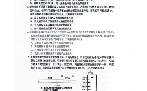 湖北省武汉市武昌区2023-2024学年高三上学期期末质量检测生物试题_2024届湖北省武汉市武昌区高三上学期期末质量检测试题_2024届湖北省武汉市武昌区高三上学期期末质量检测试题生物