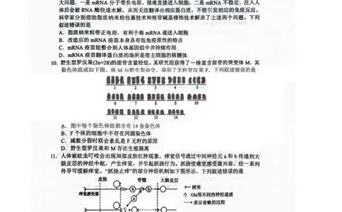 湖北省武汉市武昌区2023-2024学年高三上学期期末质量检测生物试题_2024届湖北省武汉市武昌区高三上学期期末质量检测试题_2024届湖北省武汉市武昌区高三上学期期末质量检测试题生物