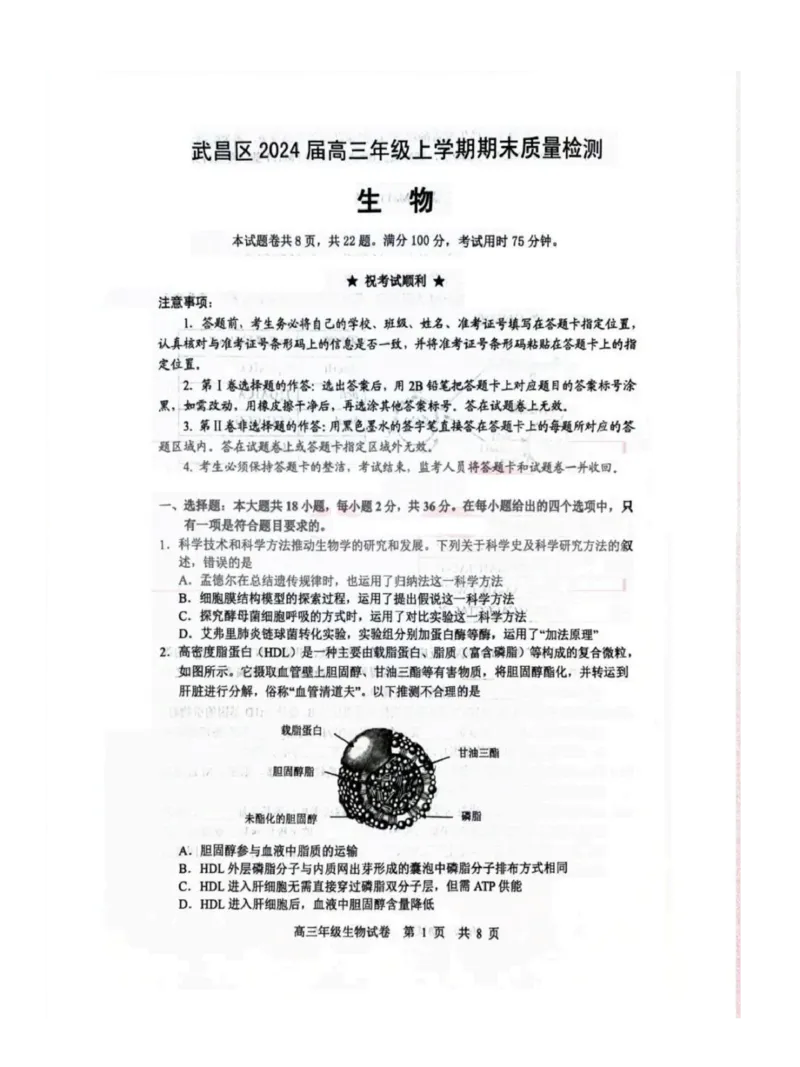 湖北省武汉市武昌区2023-2024学年高三上学期期末质量检测生物试题_2024届湖北省武汉市武昌区高三上学期期末质量检测试题_2024届湖北省武汉市武昌区高三上学期期末质量检测试题生物