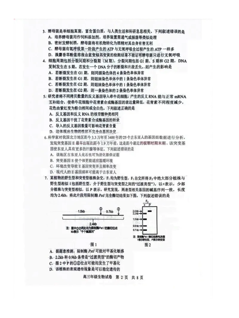 湖北省武汉市武昌区2023-2024学年高三上学期期末质量检测生物试题_2024届湖北省武汉市武昌区高三上学期期末质量检测试题_2024届湖北省武汉市武昌区高三上学期期末质量检测试题生物