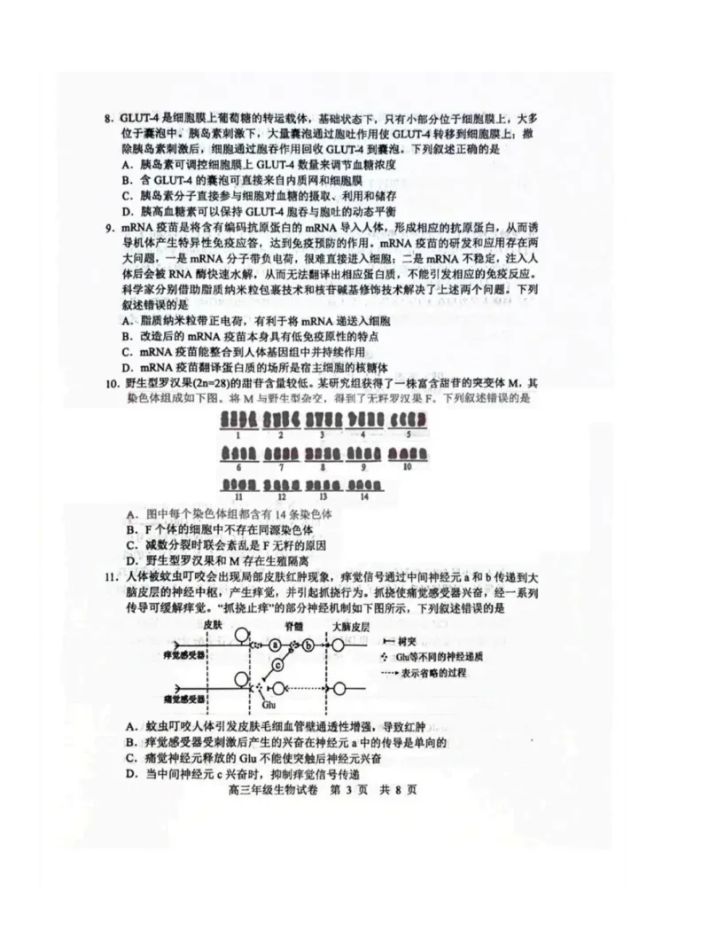 湖北省武汉市武昌区2023-2024学年高三上学期期末质量检测生物试题_2024届湖北省武汉市武昌区高三上学期期末质量检测试题_2024届湖北省武汉市武昌区高三上学期期末质量检测试题生物