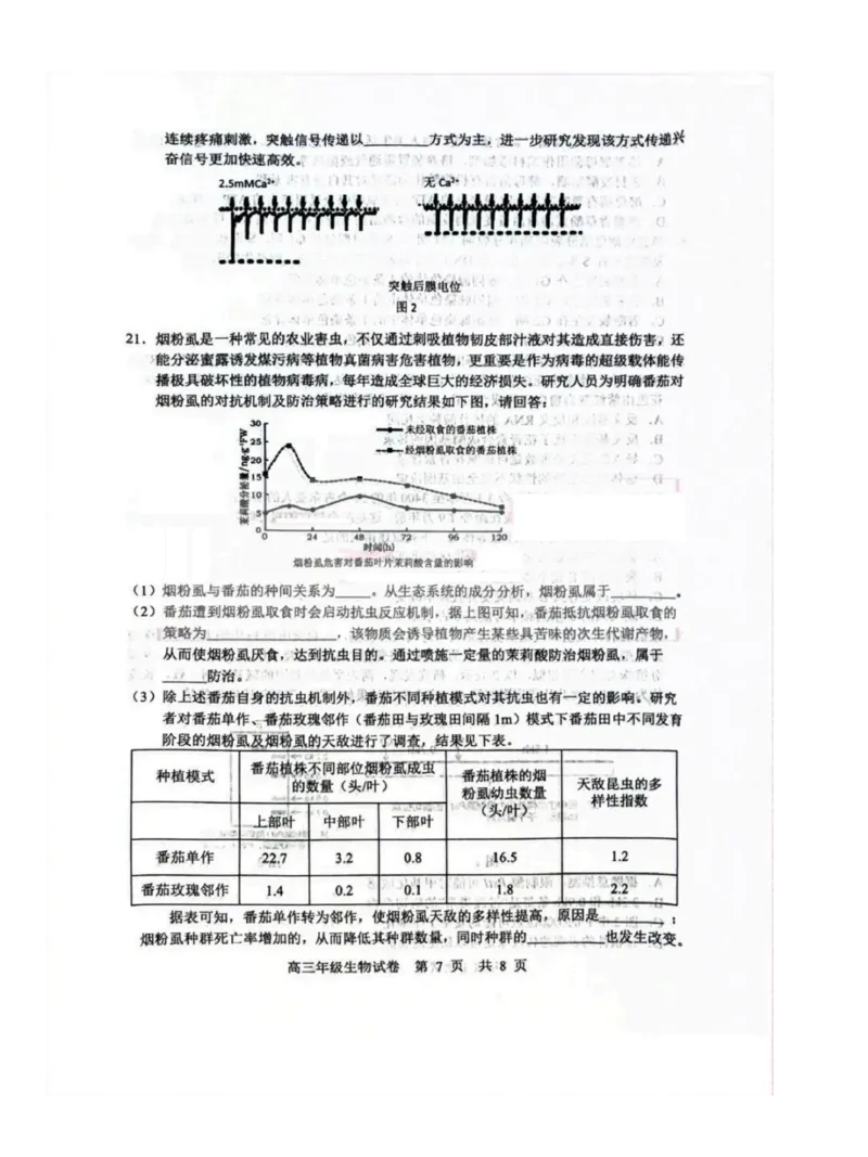 湖北省武汉市武昌区2023-2024学年高三上学期期末质量检测生物试题_2024届湖北省武汉市武昌区高三上学期期末质量检测试题_2024届湖北省武汉市武昌区高三上学期期末质量检测试题生物