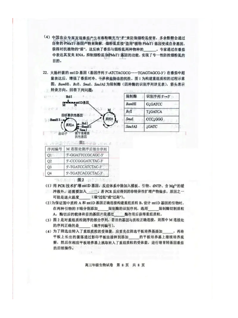 湖北省武汉市武昌区2023-2024学年高三上学期期末质量检测生物试题_2024届湖北省武汉市武昌区高三上学期期末质量检测试题_2024届湖北省武汉市武昌区高三上学期期末质量检测试题生物